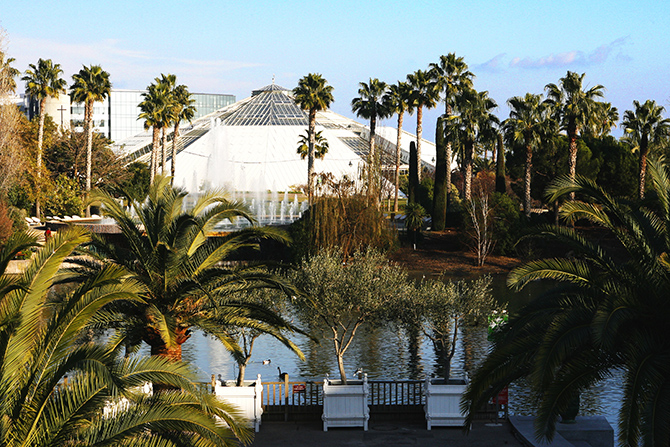Nice réputée pour ses palmiers, ici au parc Phoenix - © Nice Tourisme